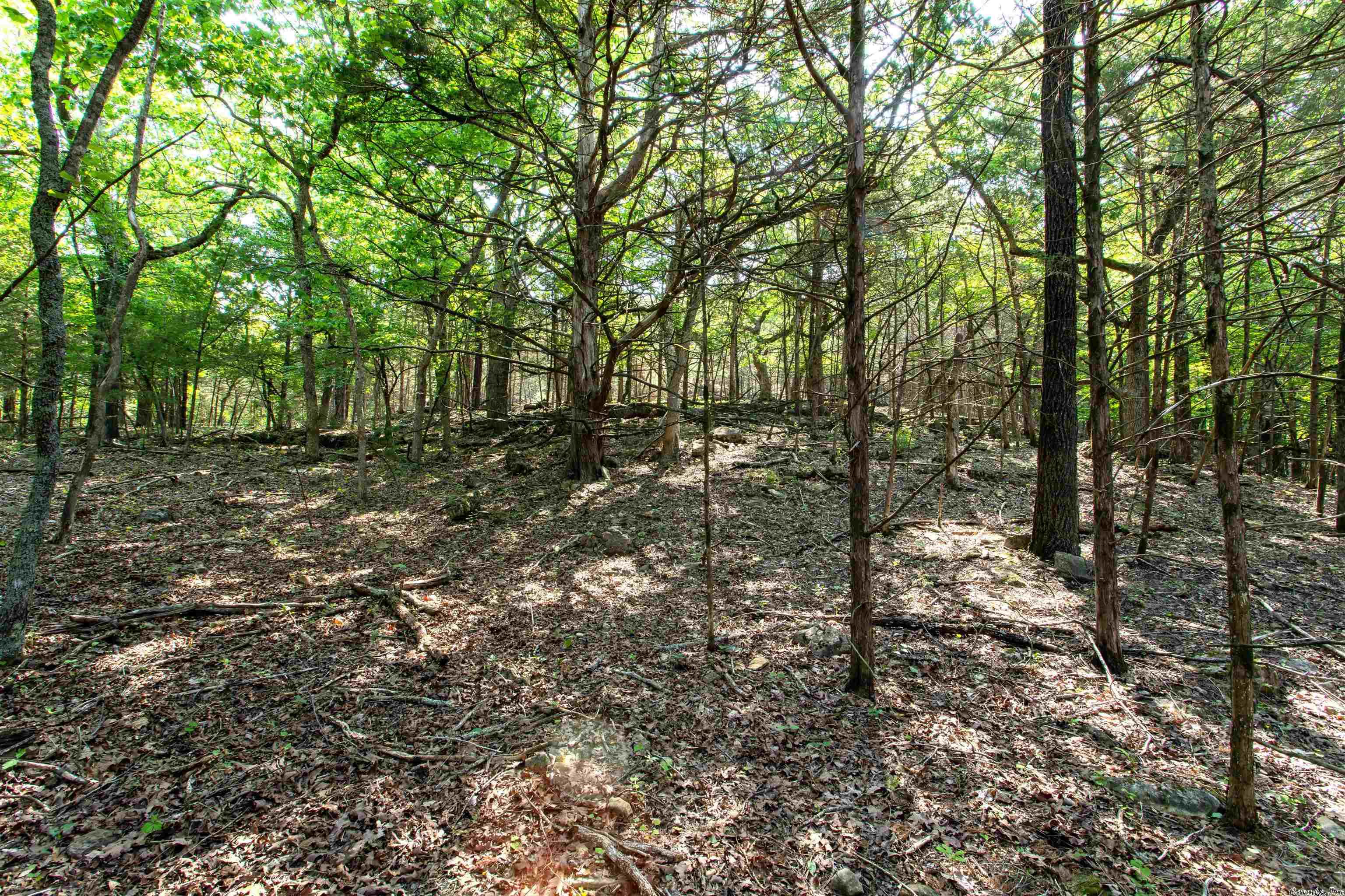 Century Springs 2 - Land