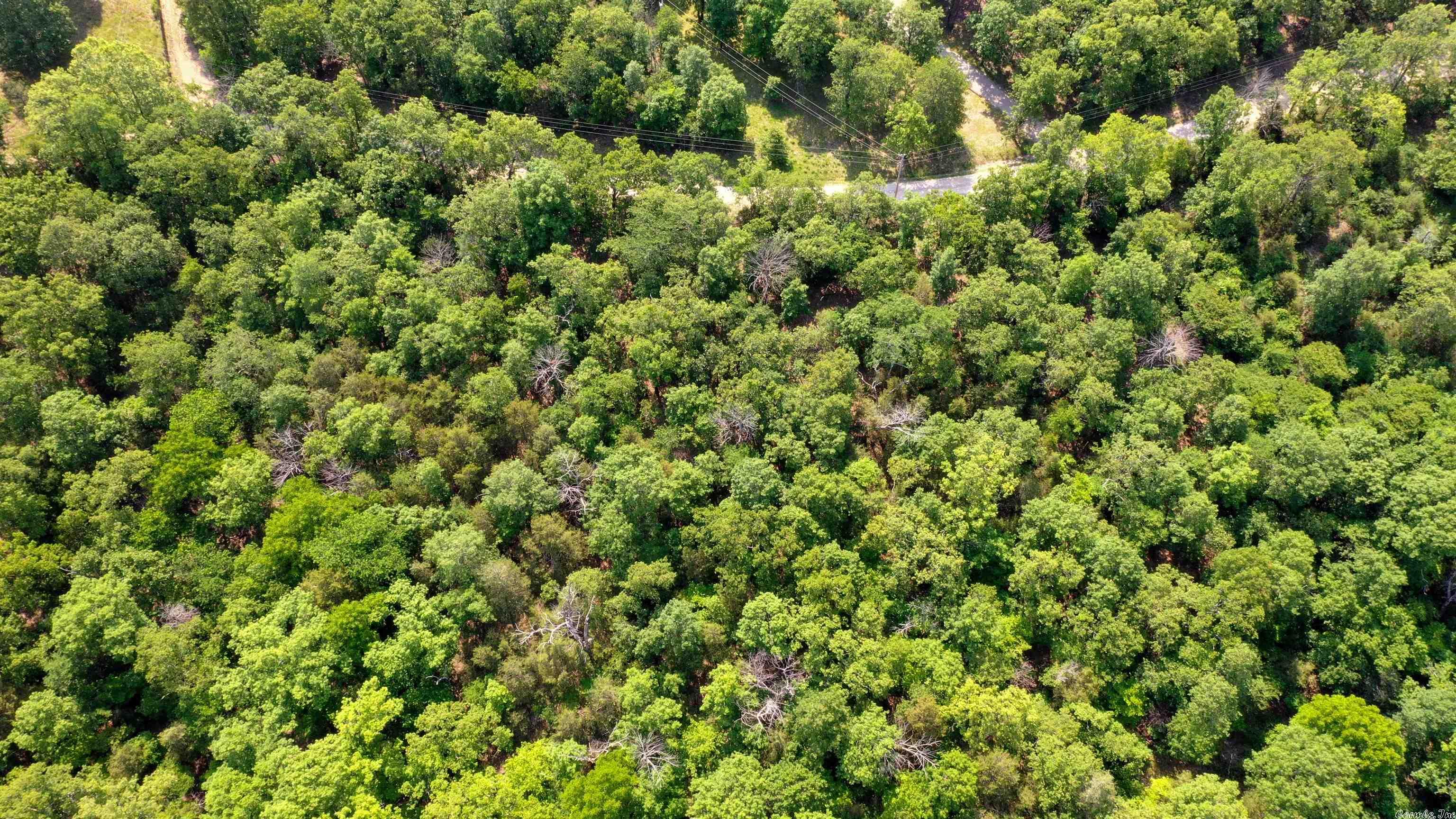 Century Springs 2 - Land