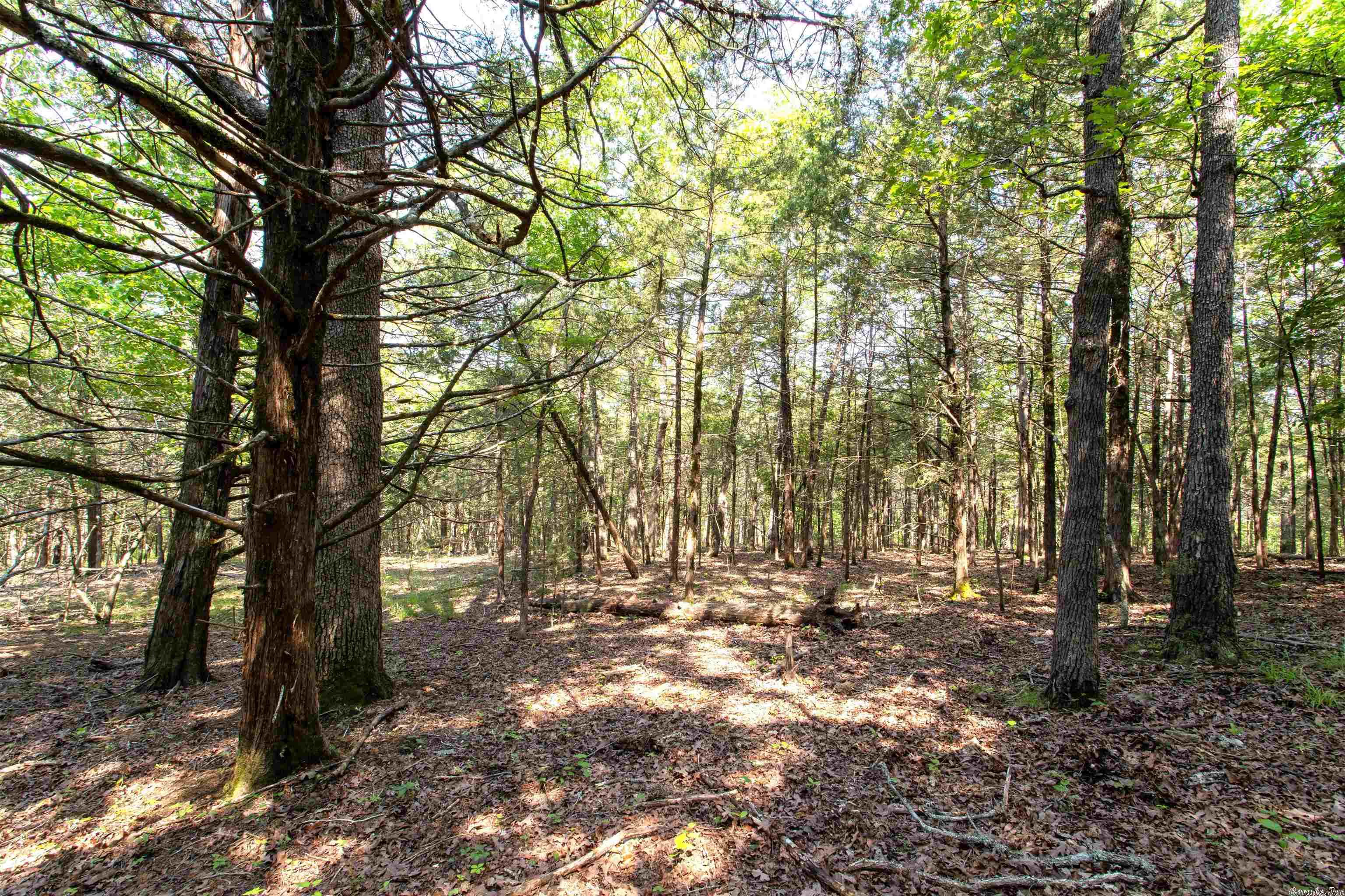 Century Springs 2 - Land