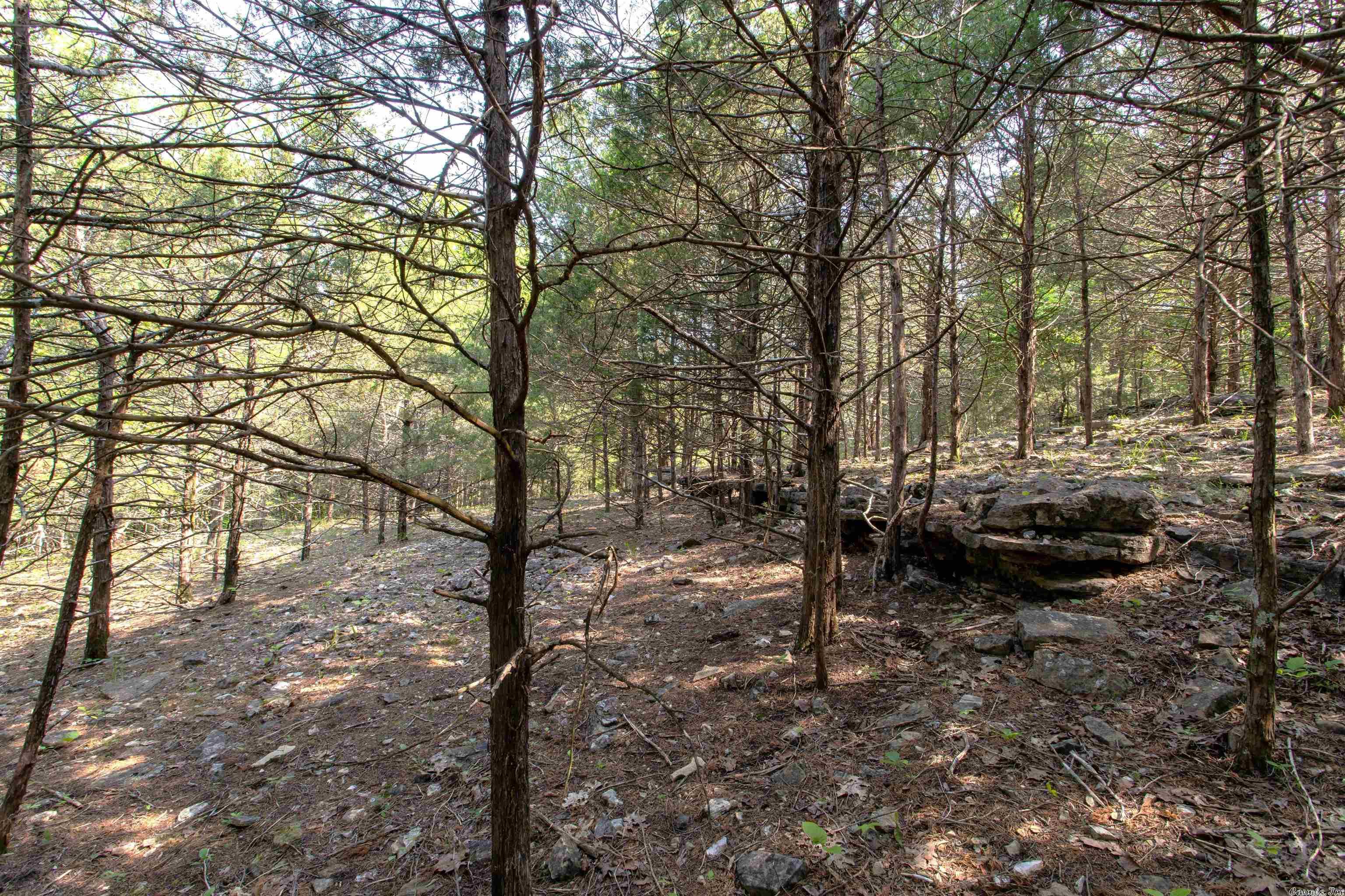 Century Springs 2 - Land