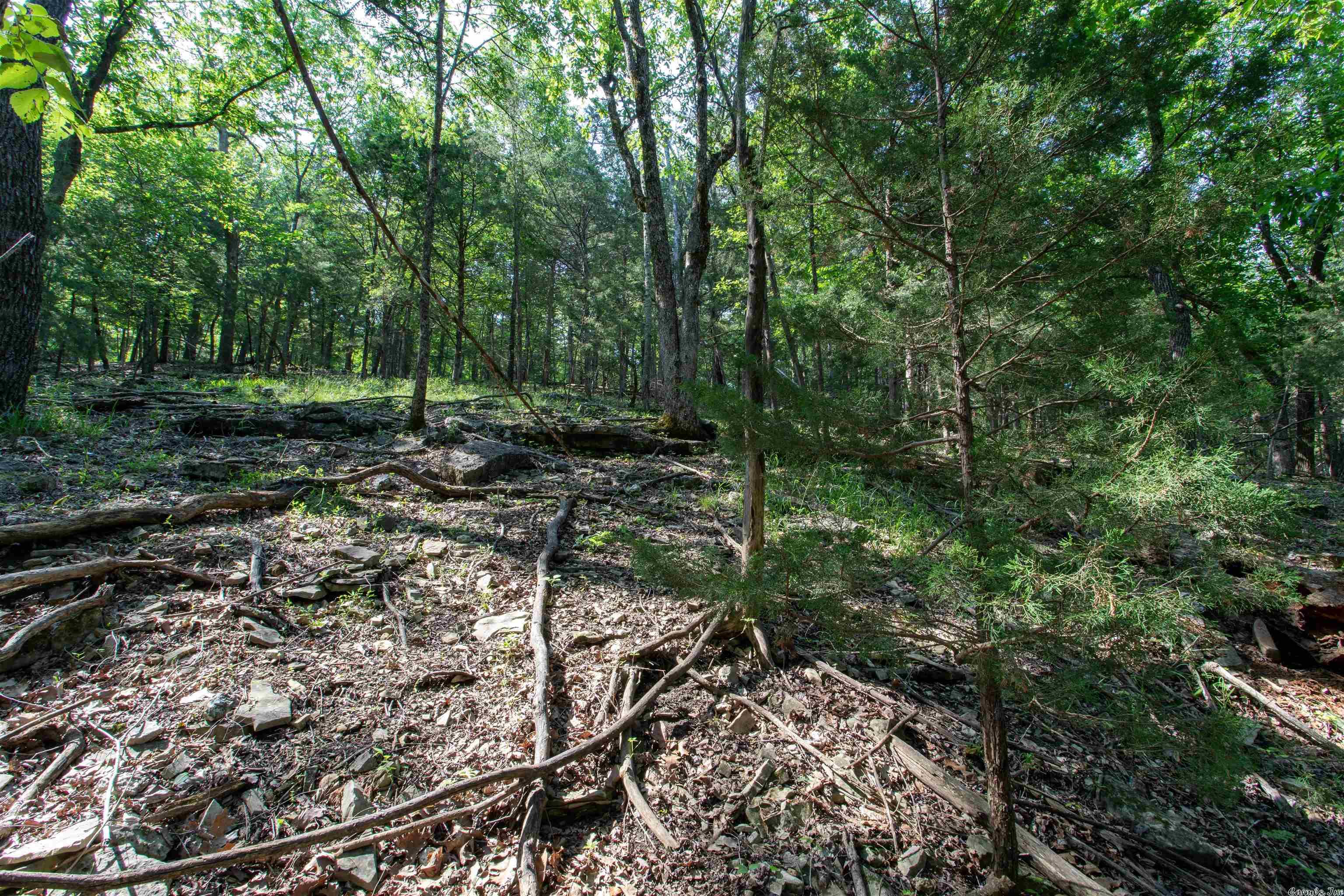 Century Springs 2 - Land