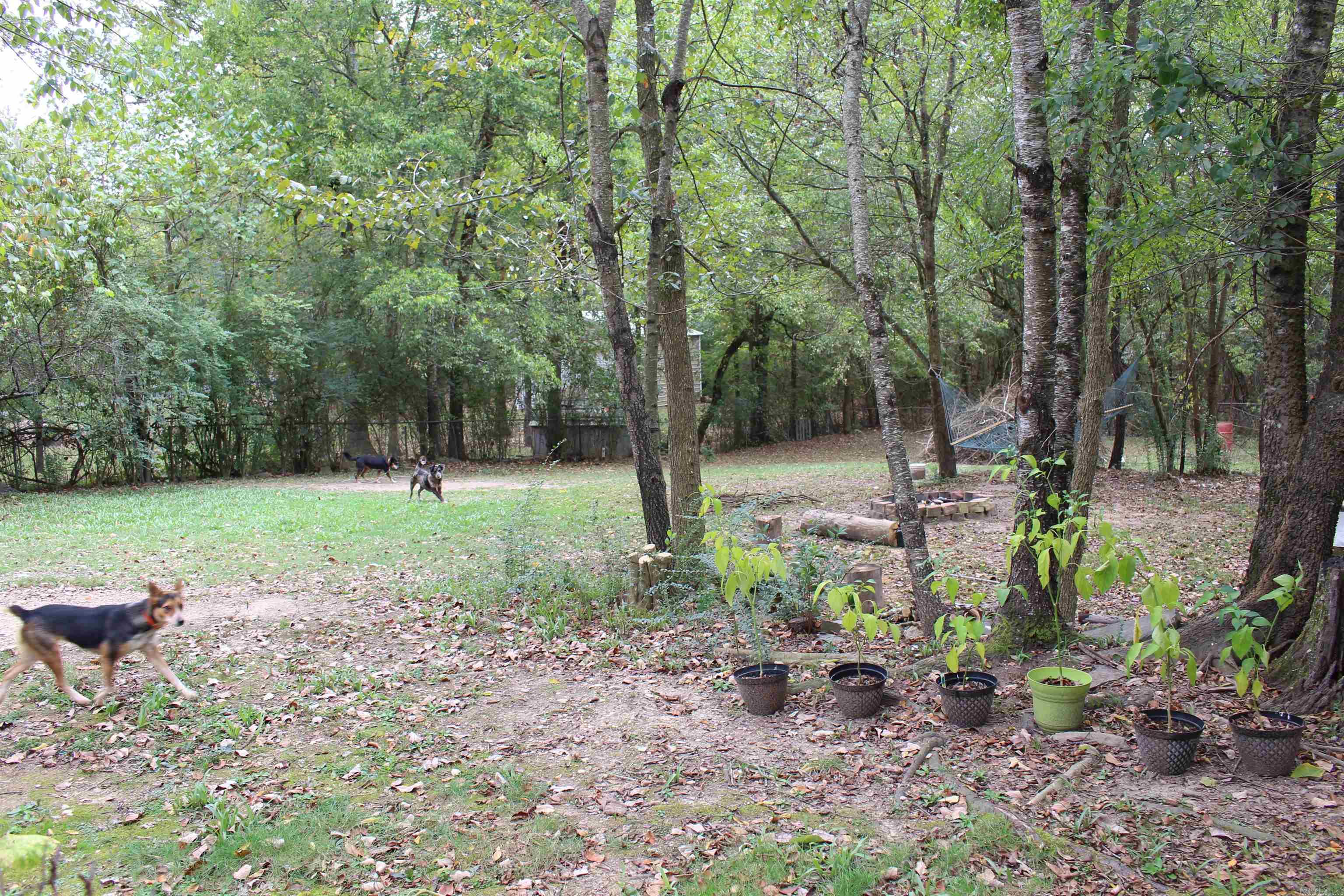 SIMPSON #2 - Residential