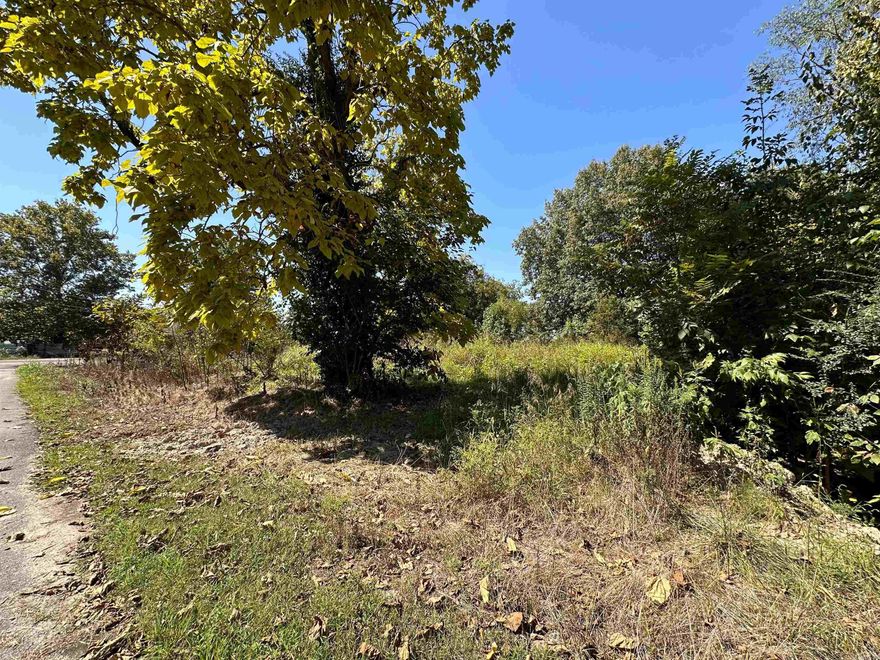 This vacant corner .46 ac lot would be a great building site for a home in this quiet little town.
