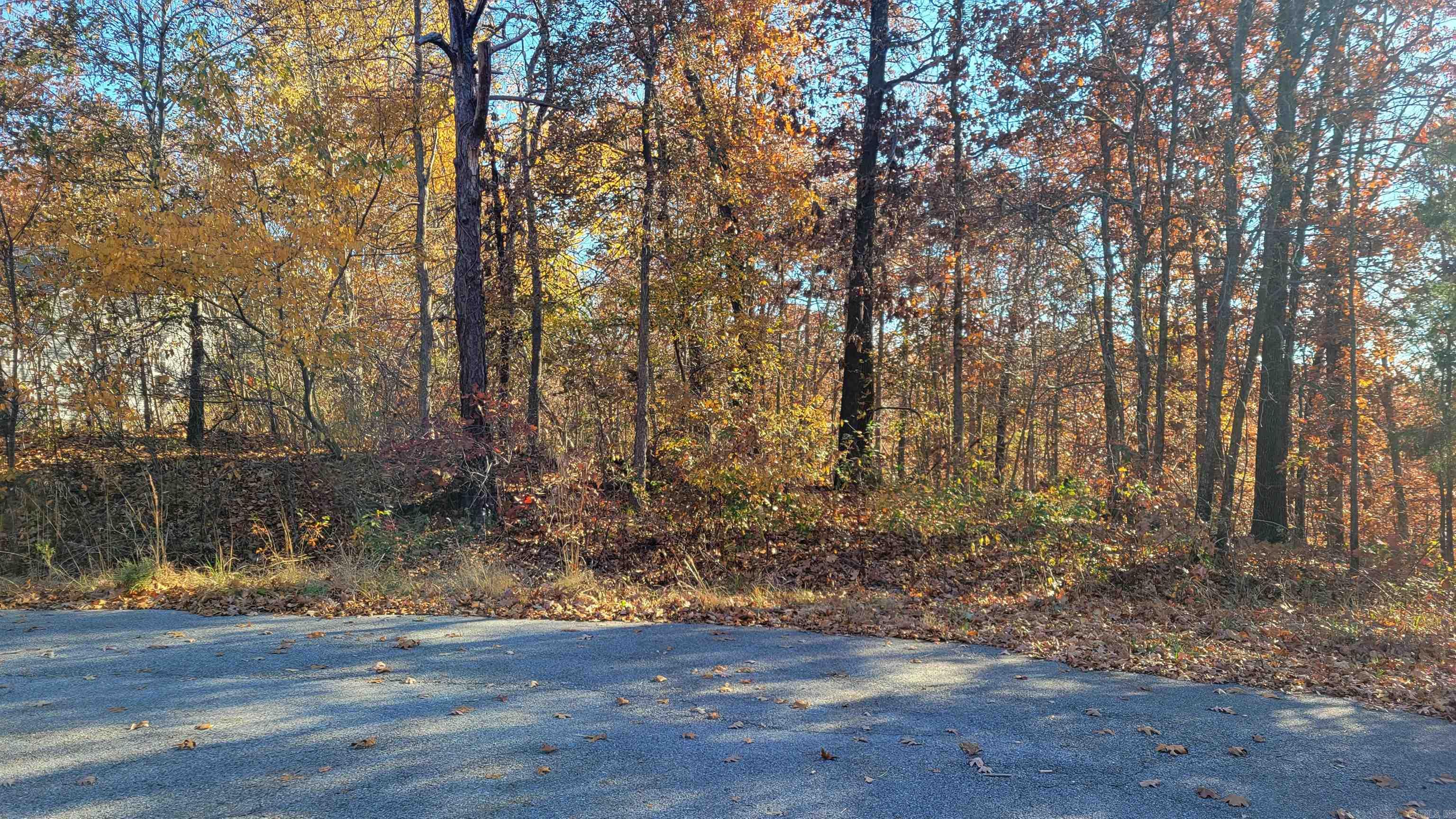 Partially sloped and nice wooded lot in a cul-de-sac, great location and close to Flo-Ride trails, Pinion Creek bike trail, area amenities and Lake Ann. Currently bid on this property on Hubzu.