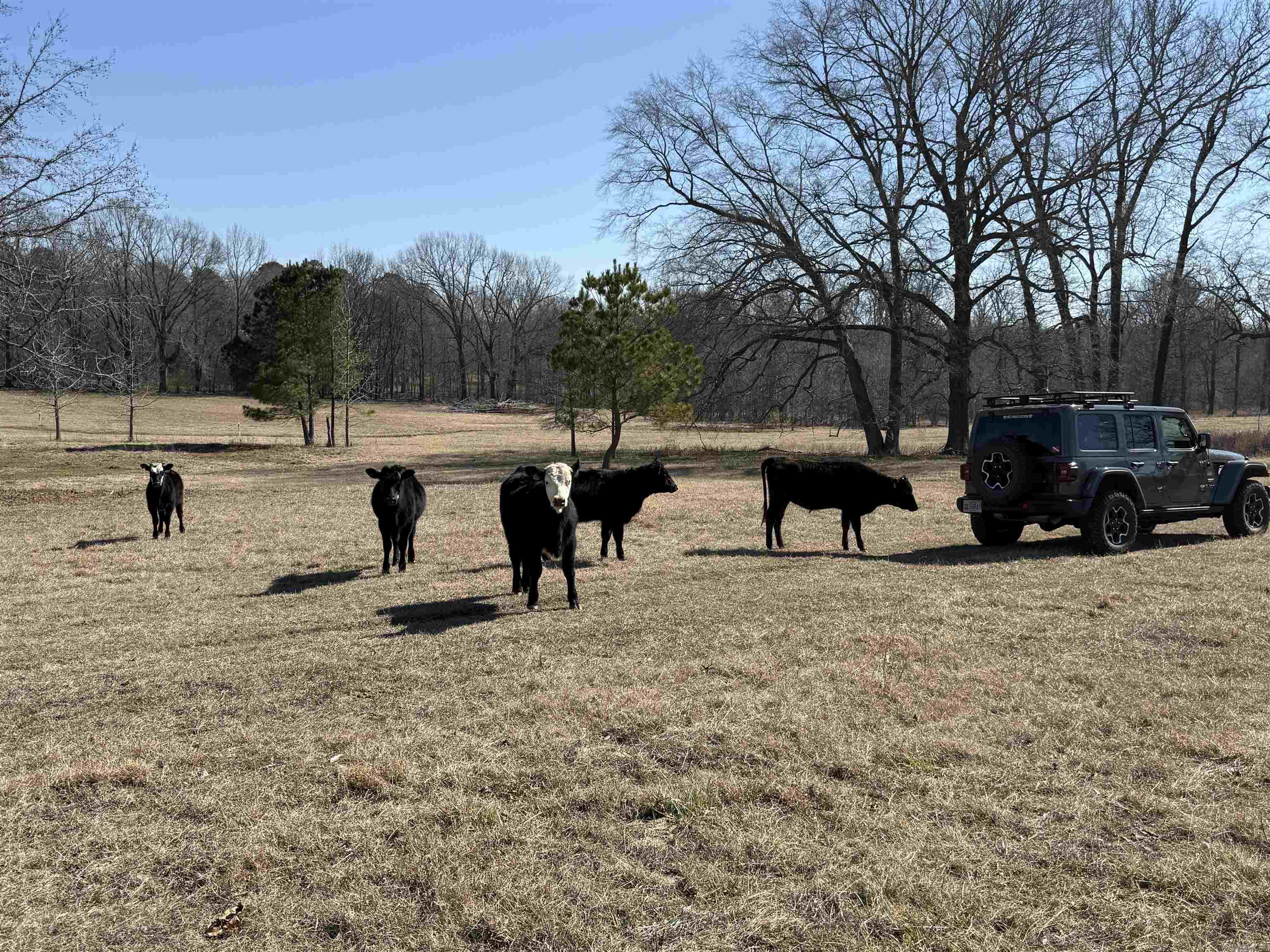 Not in Subdivision - Land