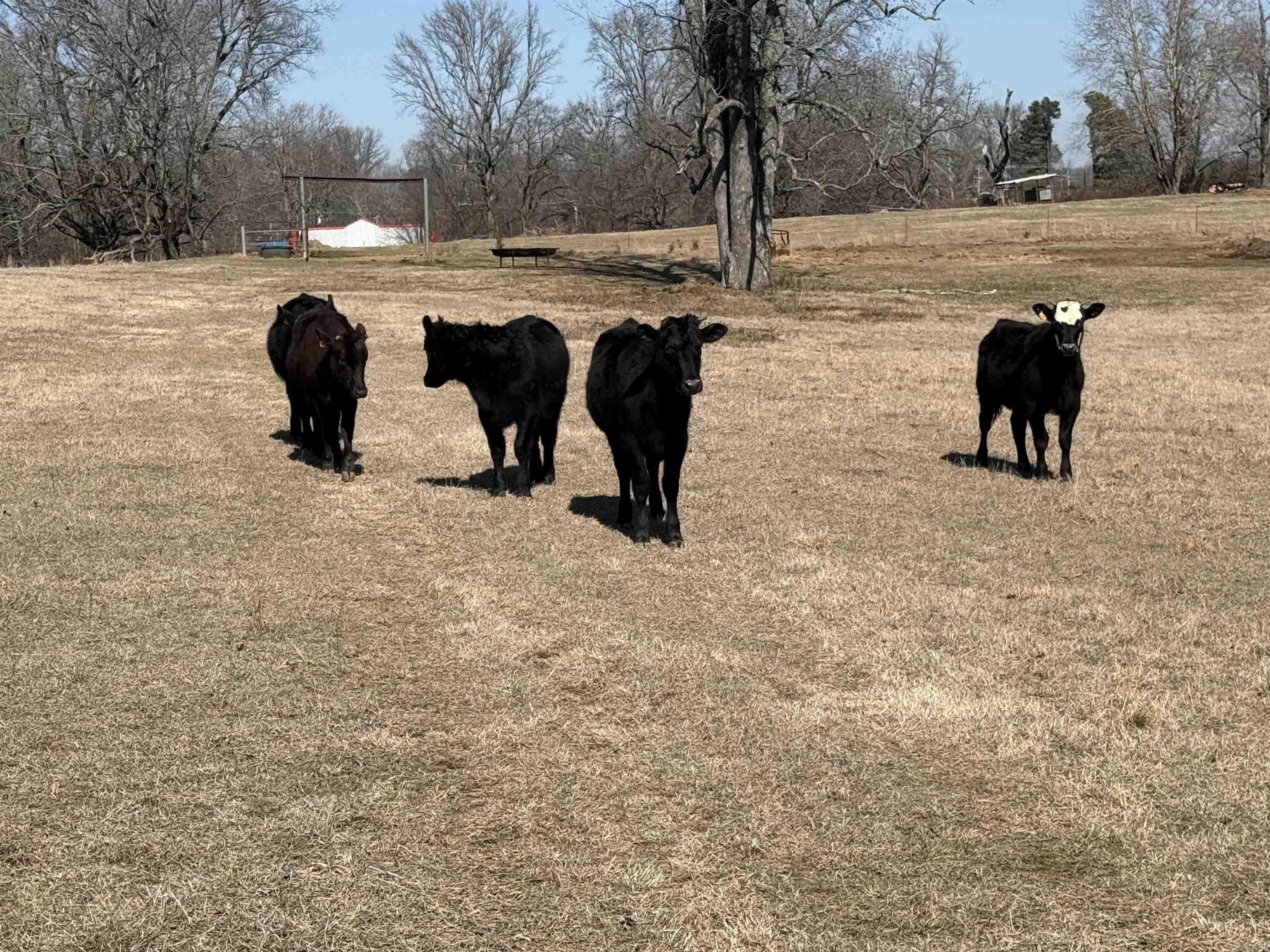 Not in Subdivision - Land