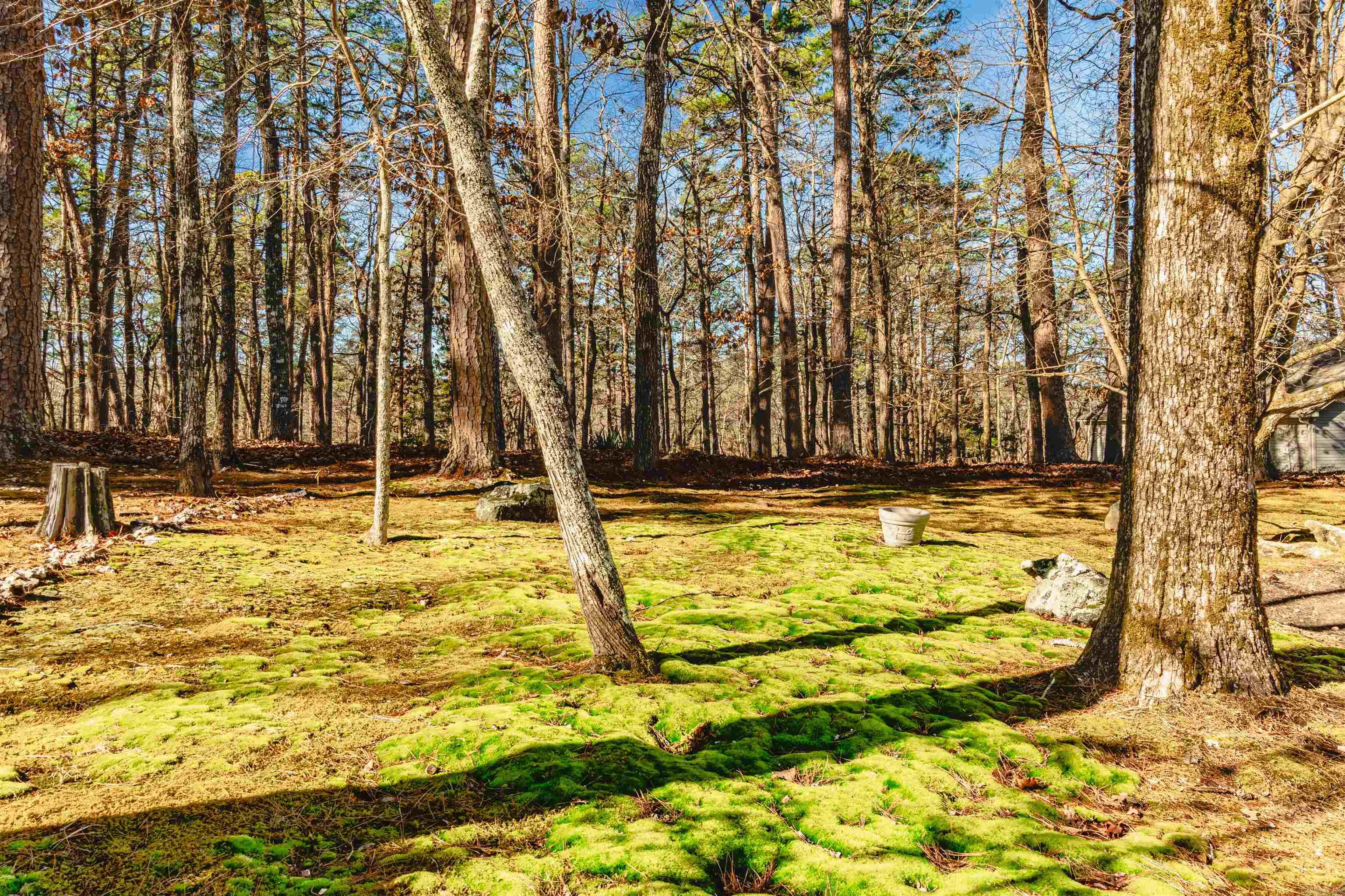 Gancho - Residential