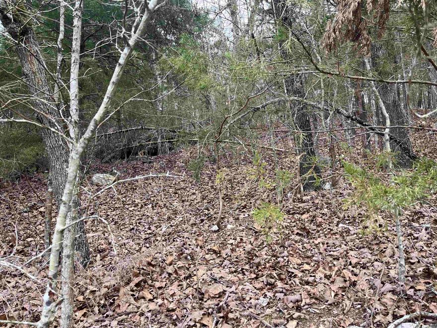 Nice lot across the road from lake and overlooking Lake Chanute. Option to buy 2 more adjoining lots with just one lot in between.