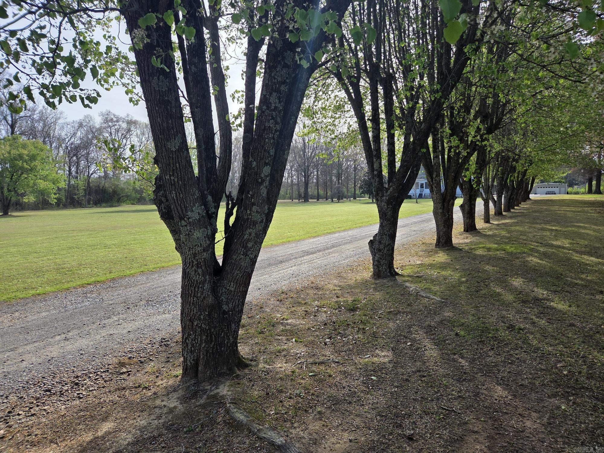 Higginson Outlots - Residential