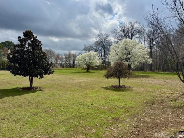 Higginson Outlots - Residential