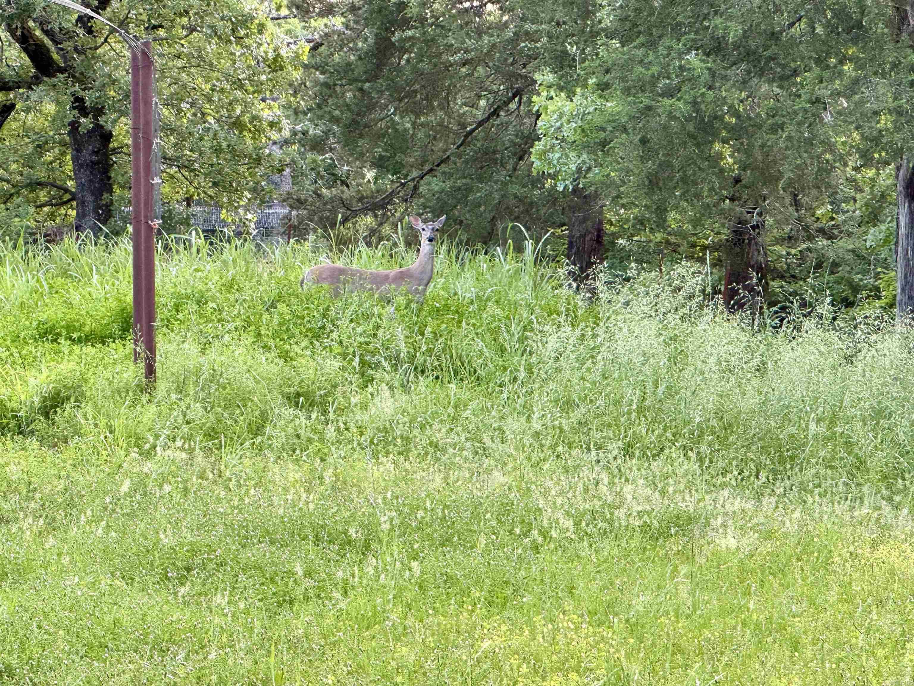Not in Subdivision - Farm