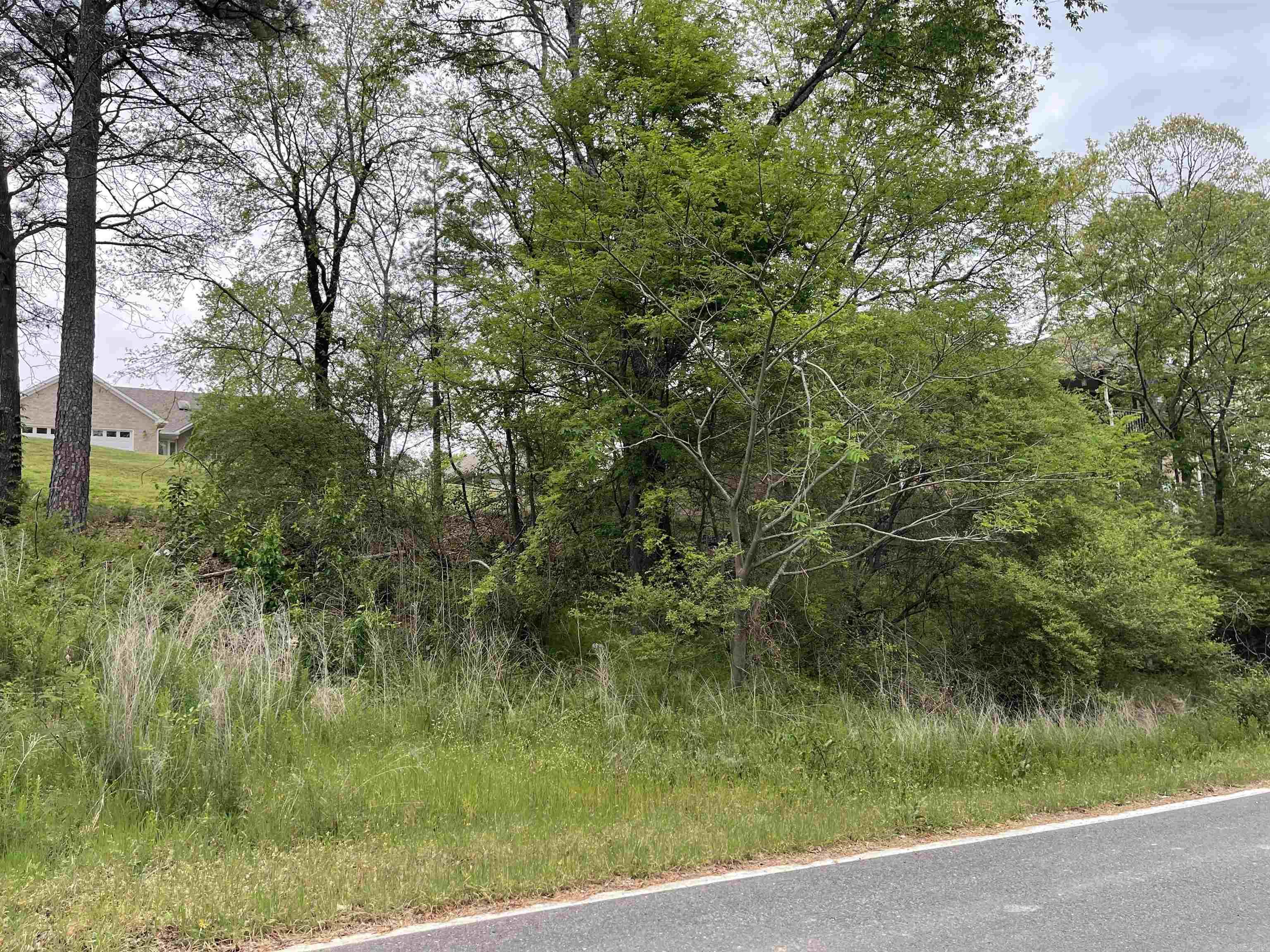 Forest View - Land