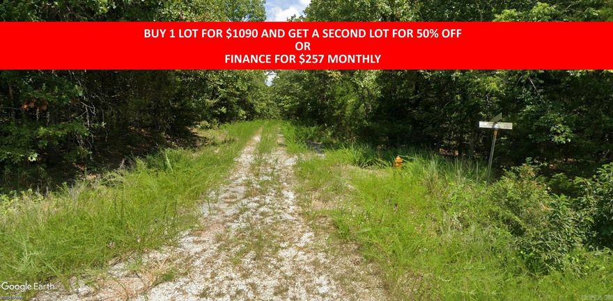 Buy one lot and get 50% off an additional lot! Part of a set of adjoining lots available. Owner-finance for easy terms. Cash buyers can pay by debit or credit card as well. Nice lot to develop or hold for future value. Public water and electric are available to run to property and will need septic. Owner/agent. No mobiles allowed. 300-2500 minimum build size on any other type of home, depending on subdivision. Finance is 5 months at $194 and closing costs are included. Lots marked with red banner are part of promotion. No limit on lots. Buyer responsible for any/all taxes and lots sold "as-is". Quit claim deed conveys. Parcel ID# 165-12571-000