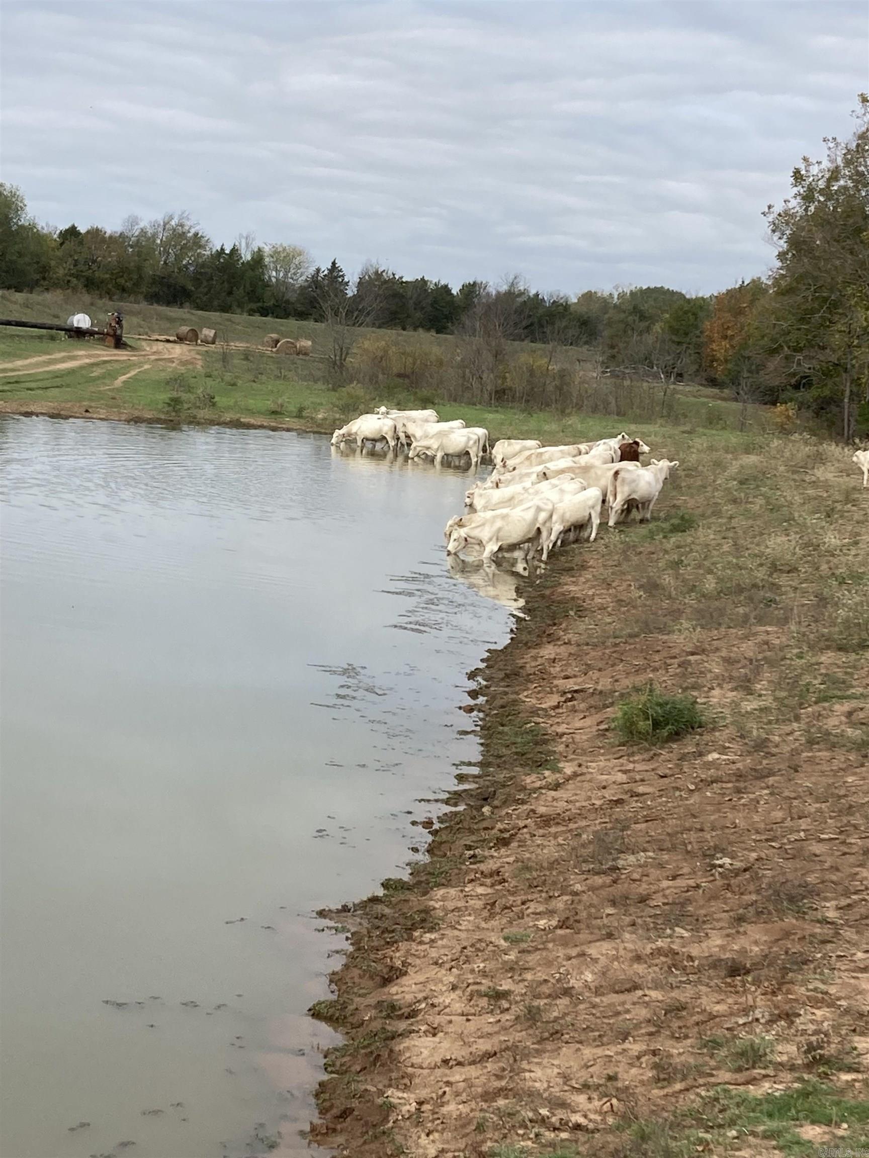 Not in Subdivision - Land