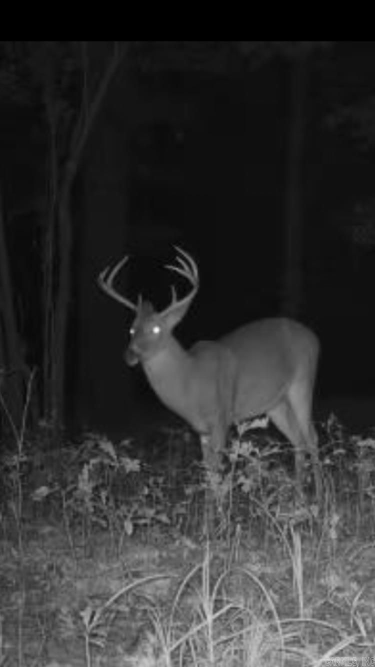 Not in Subdivision - Land