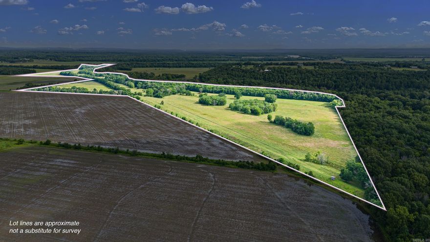 An absolute piece of history that has been in the same family for 138 years.  123 acres adjoining the Petit Jean River just minutes from Holla Bend National Wildlife Reuge.  Prime spot to stalk turkeys, wade the flooded timber for ducks or, sit in a tree scoping CRP for whitetail.  This property is completely fenced for livestock, and has a stocked pond.  There is a privately maintained boat ramp so you can access the Petit Jean all year.  Two box blinds sit on top of the levee for a complete view this fall. Approximately 9 acres are planted in row crop production. This property is regarded for exceptional hunting opportunities. Located in a prime region, this is not one to miss. More photos coming soon.