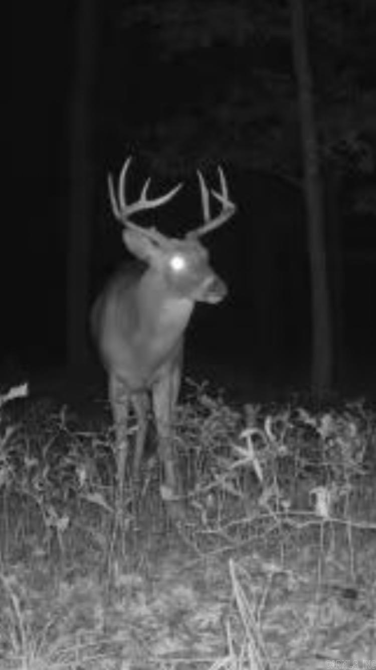 Not in Subdivision - Land