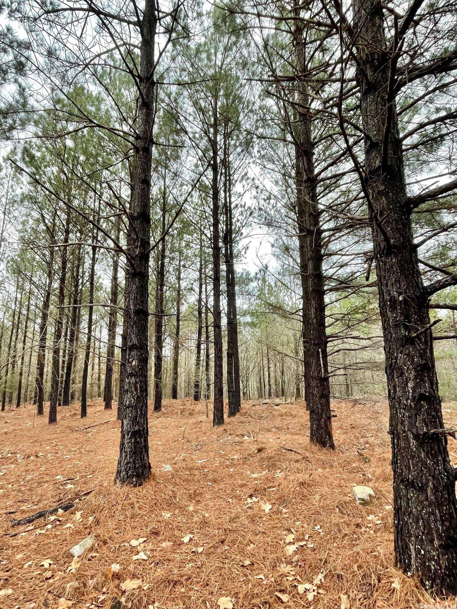 Not in Subdivision - Land