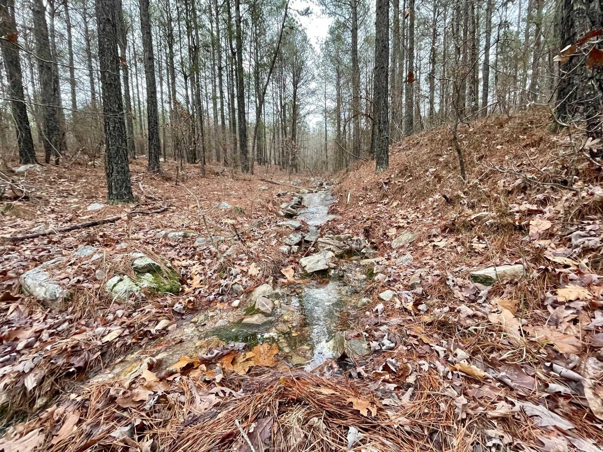 Not in Subdivision - Land