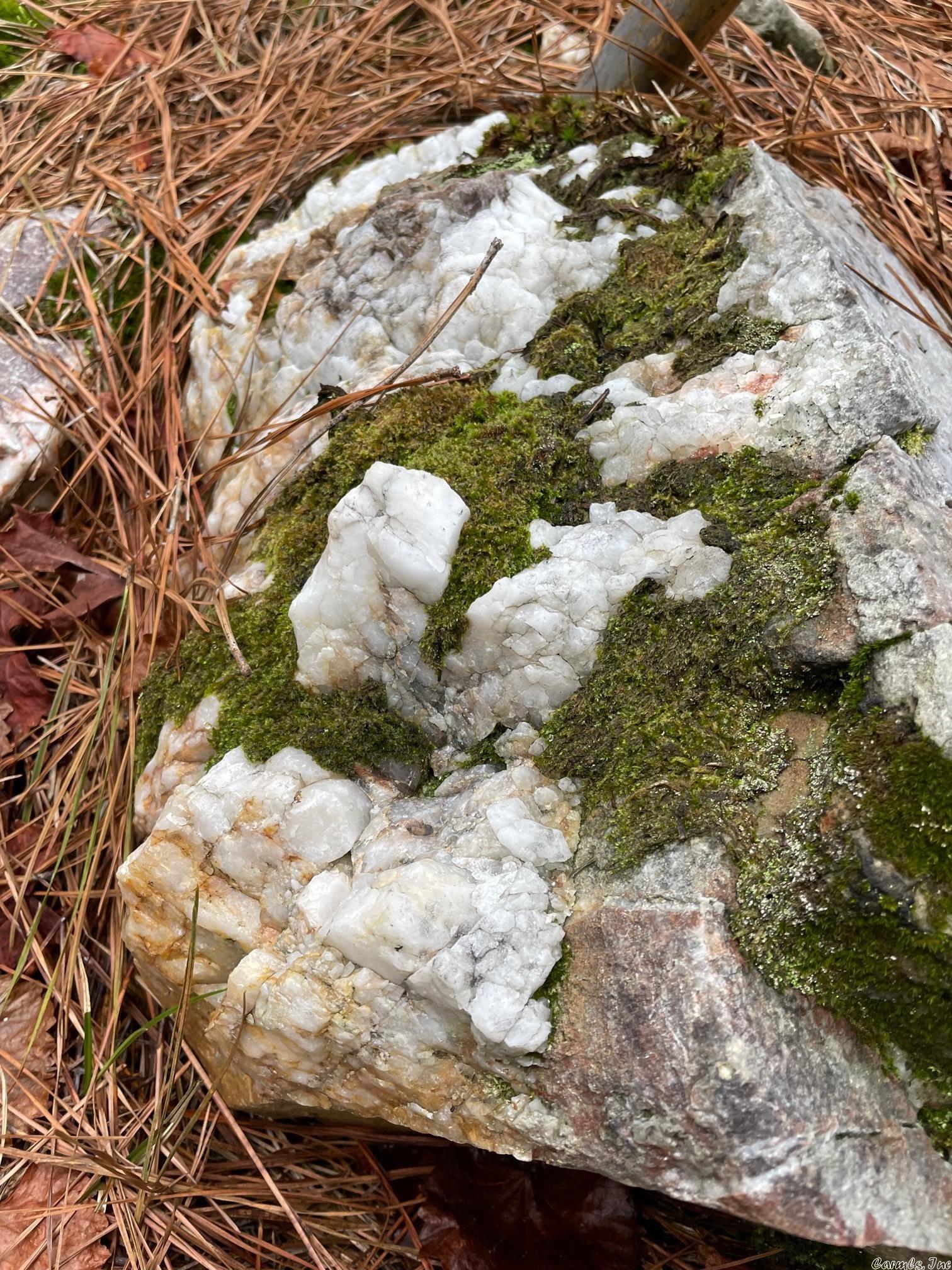 Not in Subdivision - Land