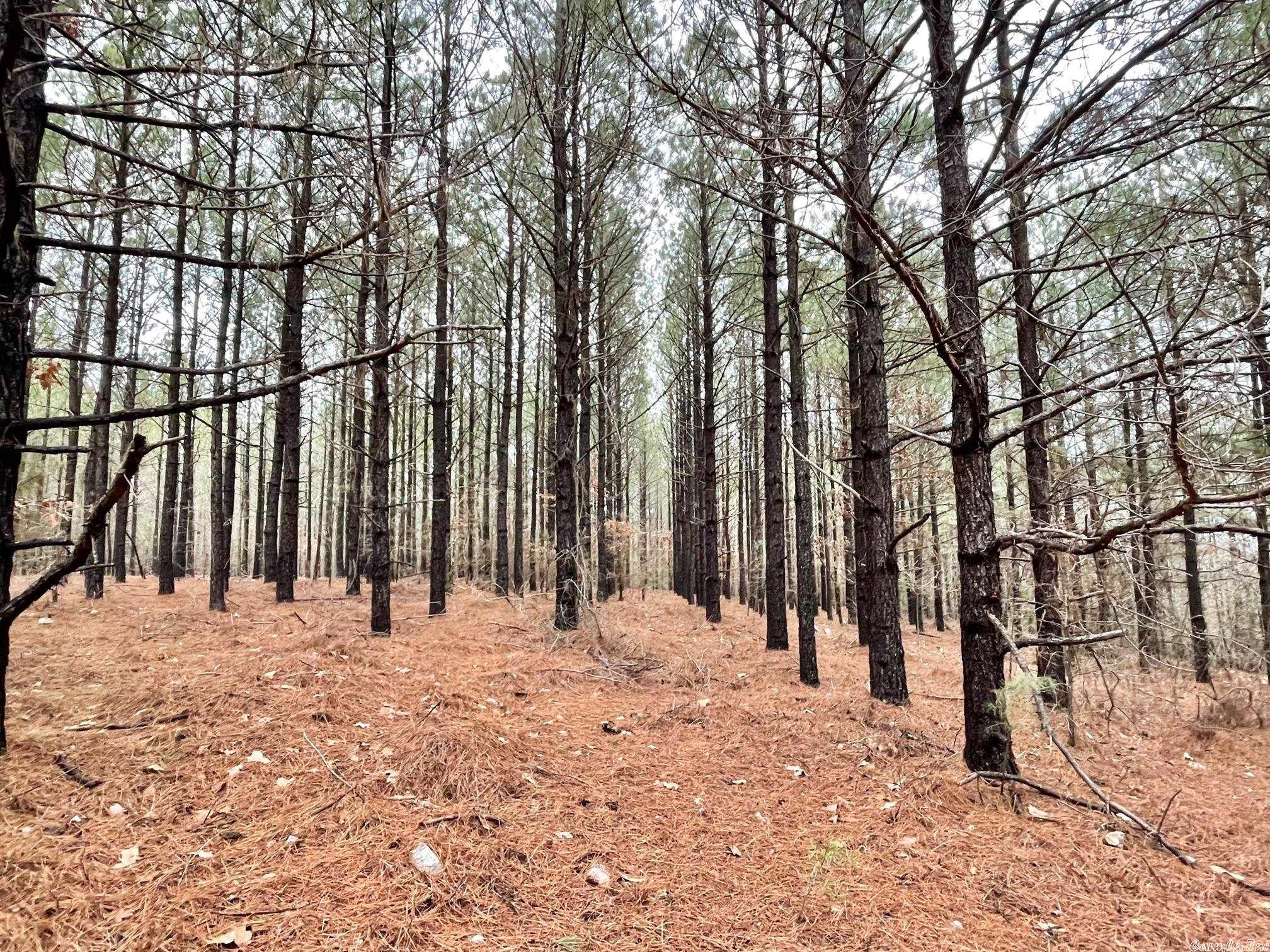 Not in Subdivision - Land