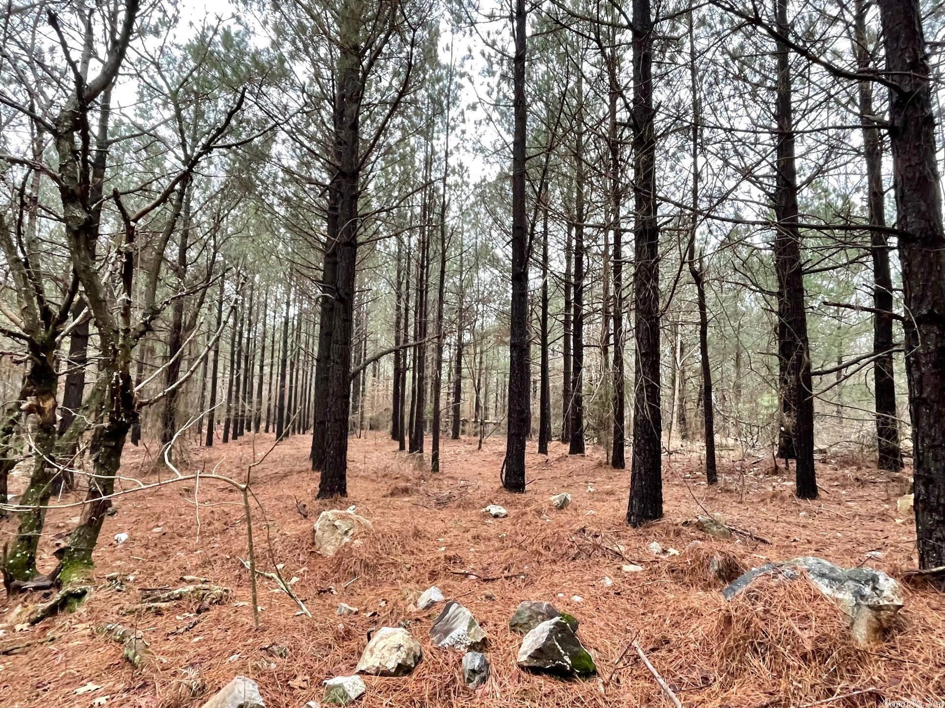 Not in Subdivision - Land