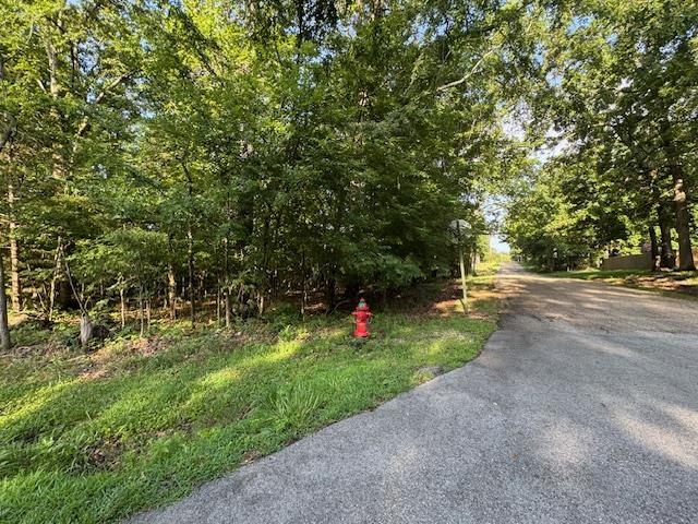 Lakeside Terrace - Land