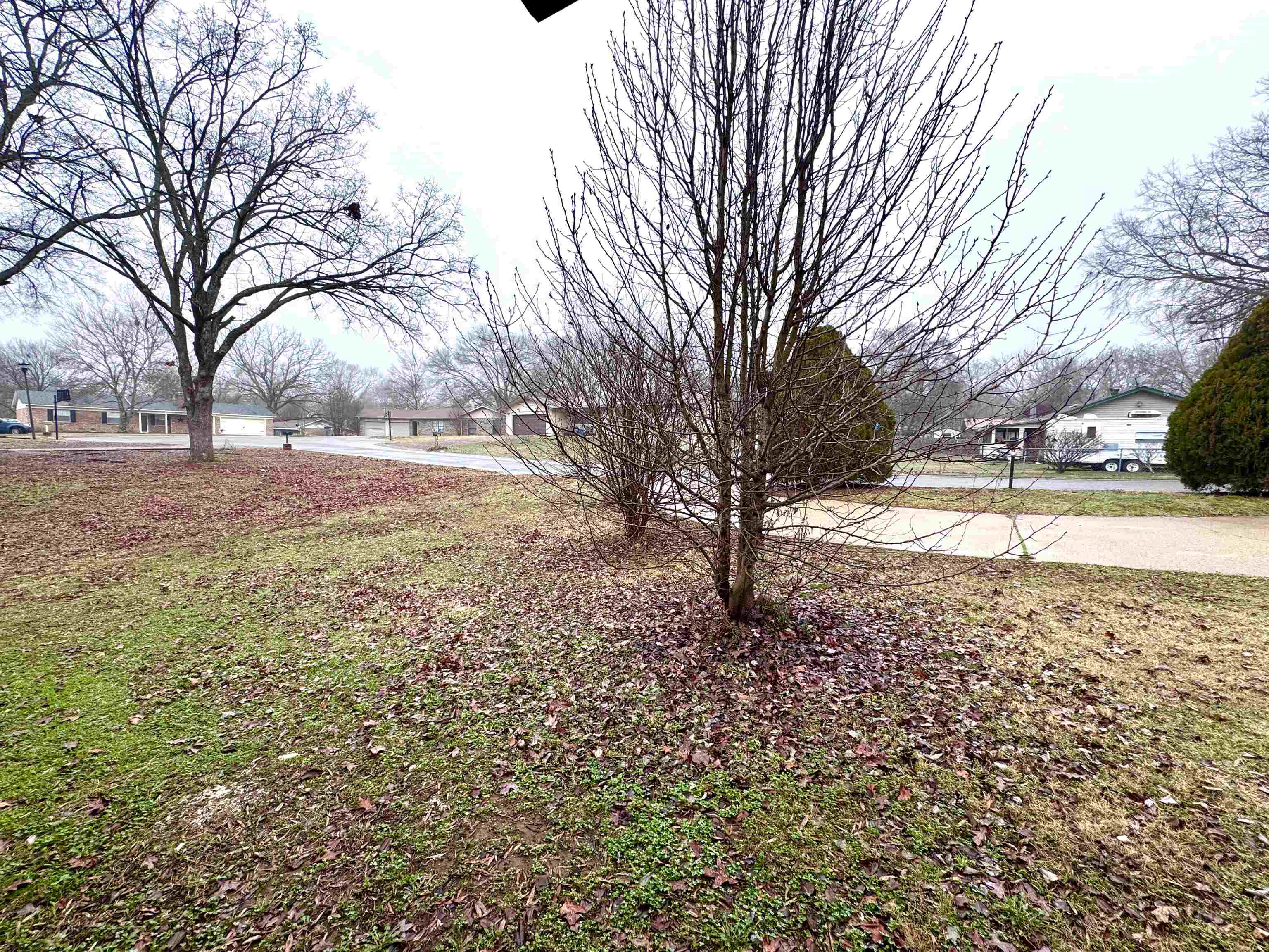 Pine Meadows 1 - Residential