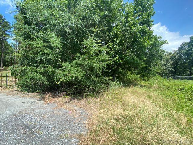 This is a great place to build your dream home. Located in the Maumelle Heights this area will capture your eyes , Not only will you have seclusion, you will also have unique views of Arkansas forestry. Don't miss this opportunity to build your dream home in a dream location.