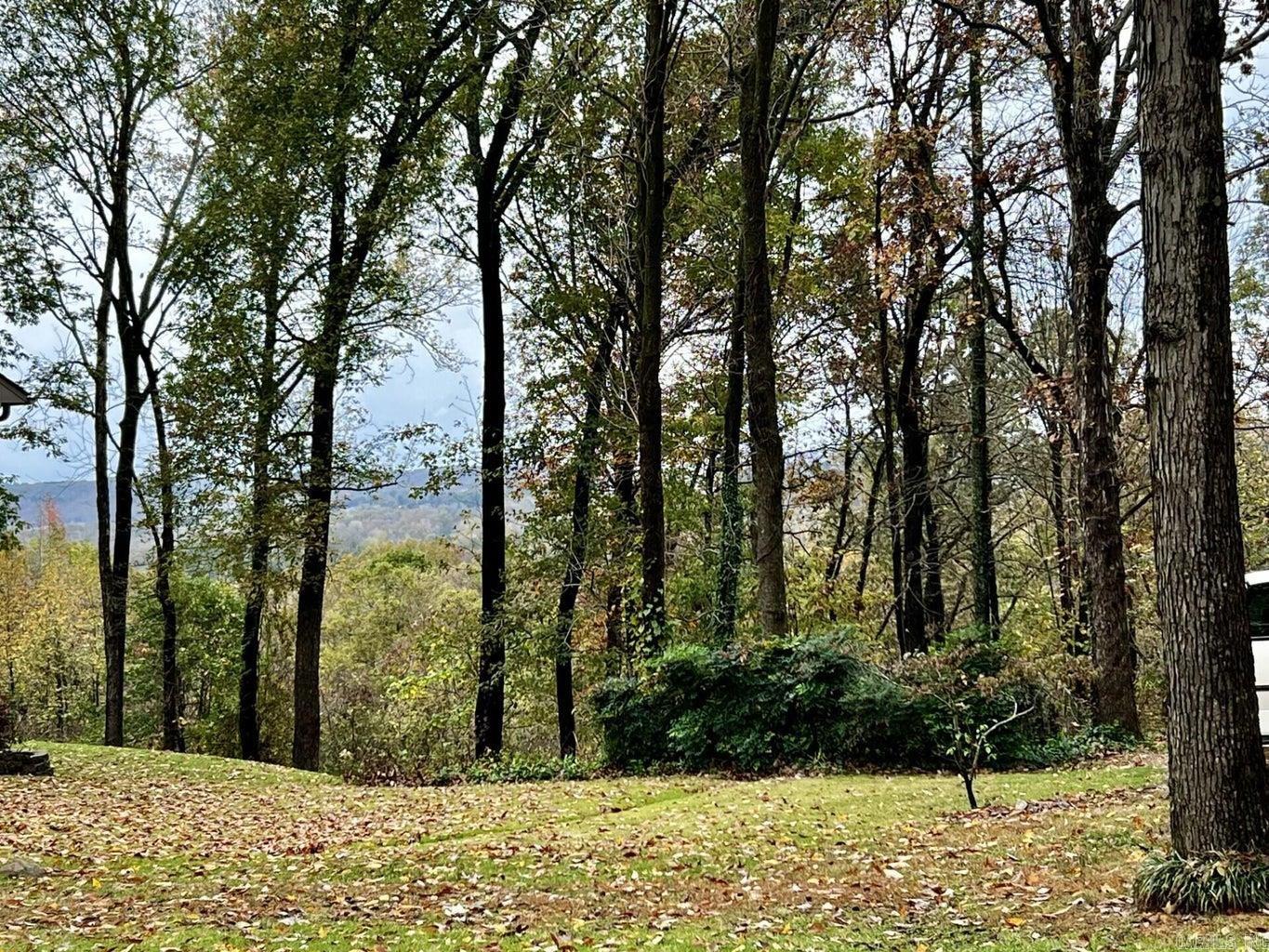 BIG PINE - Residential