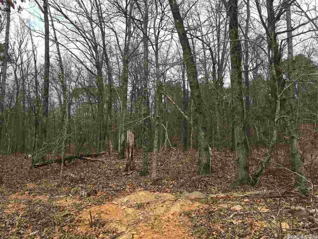 BUFFALO RIDGE - Land