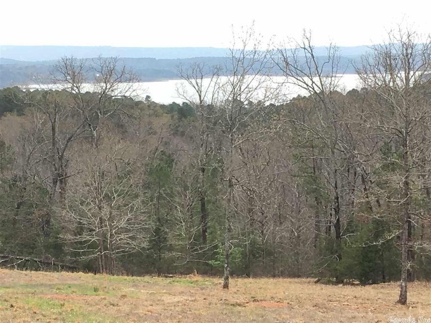 Out of this World lake View--with nearly 3.00 acres of land. View will never go away because you own the land below your home location..I am not talking about a sneak peak at the lake, I mean full blown OMG View.  Lot 2 can be purchased for $27,000.00. Lot 3 can be purchased for 27,000.00.  Lot 9 can be purchased for $25,000.00. Great building site!