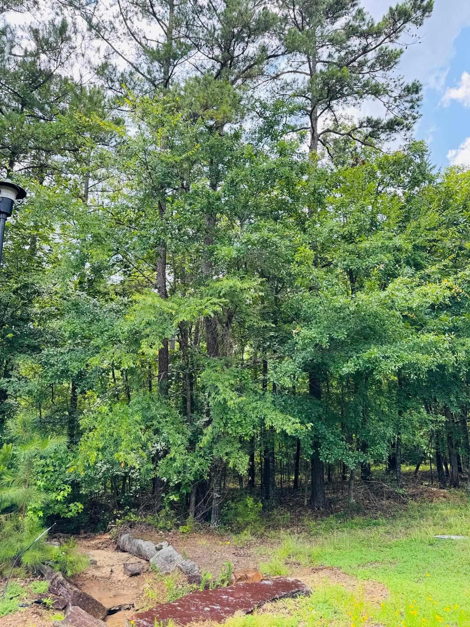 Are you dreaming of retreating to the beautiful Little Red River? This picturesque land is the perfect place to build your cozy dream home. Escape the hustle and enjoy a quiet community that offers a private community pool, boat ramp and dock on the Little Red River and minutes away from Greers Ferry Lake! This gated community offers modern amenities, access to hiking trails, boating, swimming and world-record trout fishing. Access to all the Natural State has to offer is only an offer away. Let us make your dream a reality! This beautiful lot even has a creek view!