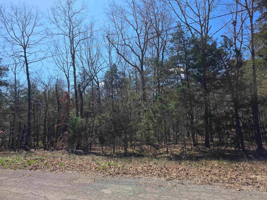 Come see this wonderful wooded lot. You will find it somewhat secluded in the woods on the Northside of the Village. With only a few neighbors in the area. Come pick your building site for your weekend get away cabin, vacation home or your forever home. Ownership of this lot gives you access to all the Cherokee Village aminities, such at the 7 Lakes for fishing, boating and 2 are big enough for skiing, Two 18-Hole golf courses to work on your game, The Thunderbird Center, swimming pool and mini golf. And dont forget that the beautiful Southfork river runs right through Cherokee Village before merging into the Spring River. So you can take a lazy float down the river. This lot can be purchased as part of a 4-Lot package deal with all 4 lots being side by side. that way you will have a neighbor build right next to you.