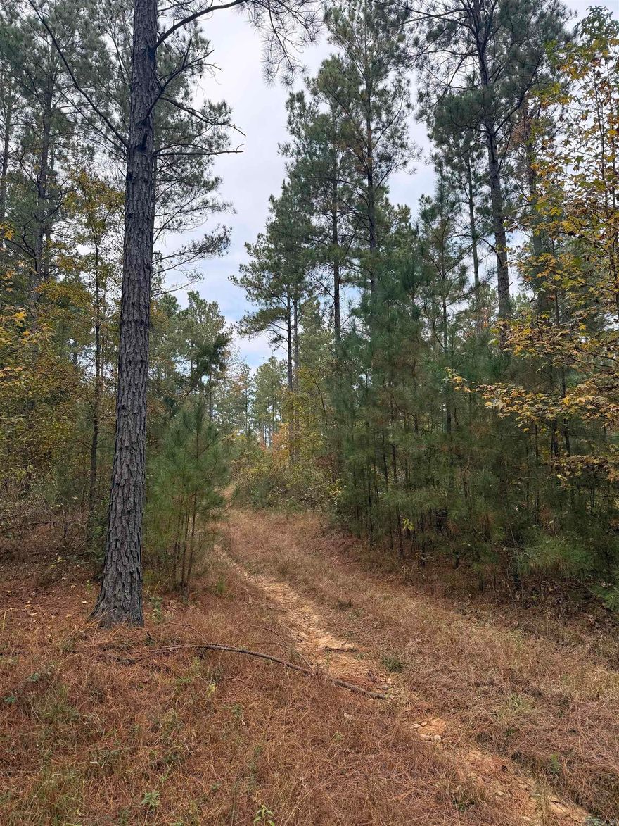 80 acres, timber, hunting, recreational land opportunity.  Planted Pine timber, has been thinned.  Contact our office for more details.