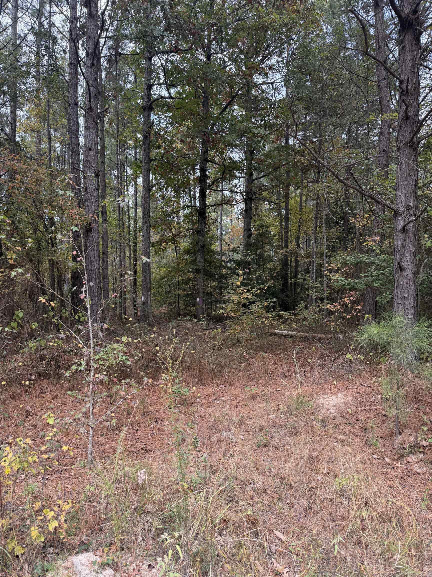 Metes & Bounds - Land