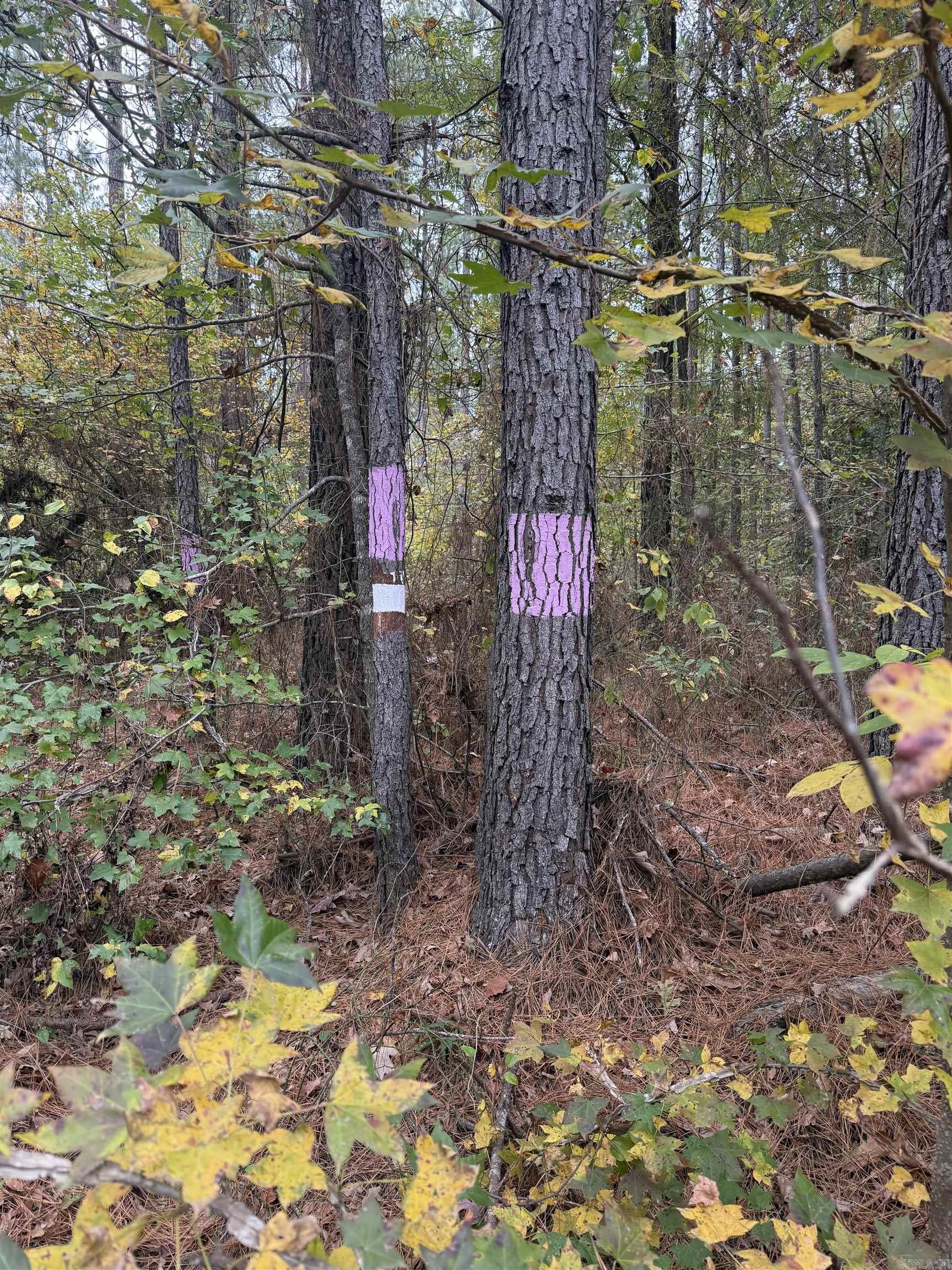 Metes & Bounds - Land