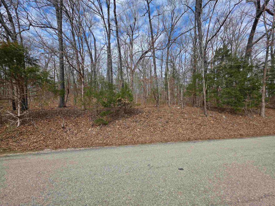 Must-see lakeview lot overlooking Lake Sherwood in Hardy, Arkansas. This lot is in a prime location near the downtown area of Hardy. Enjoy private lake life on a hilltop while also taking advantage of town amenities. This lot allows you access to two private lakes and private recreation areas. You can also enjoy shopping, camping, parks, and river access in town. Come see this lot and pick out the building spot for your home or cabin with a great lake view.