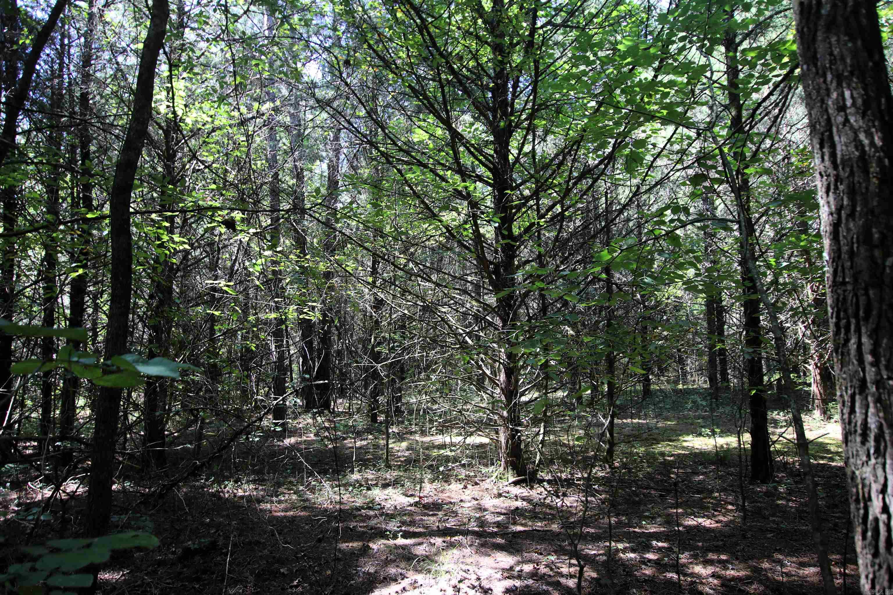 Not in Subdivision - Land