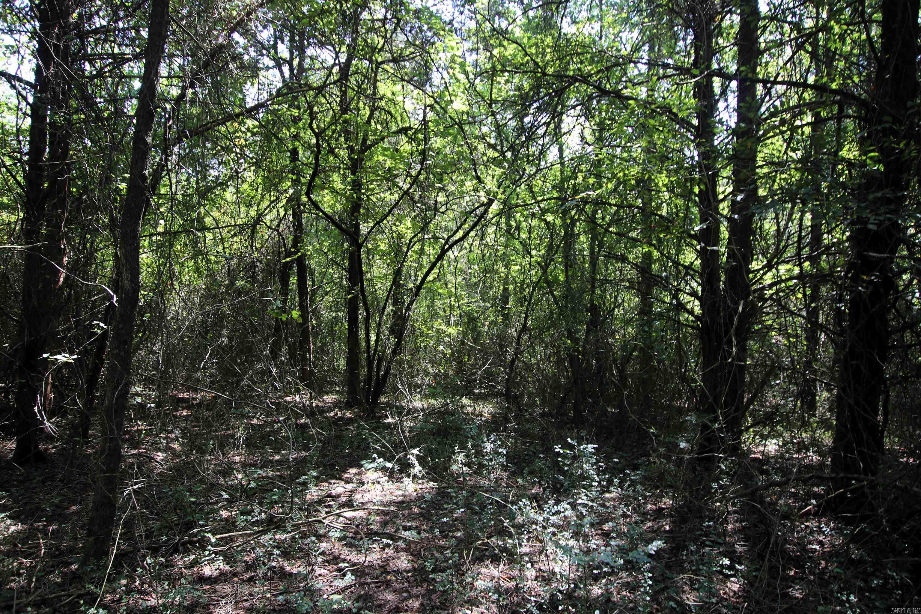 Not in Subdivision - Land