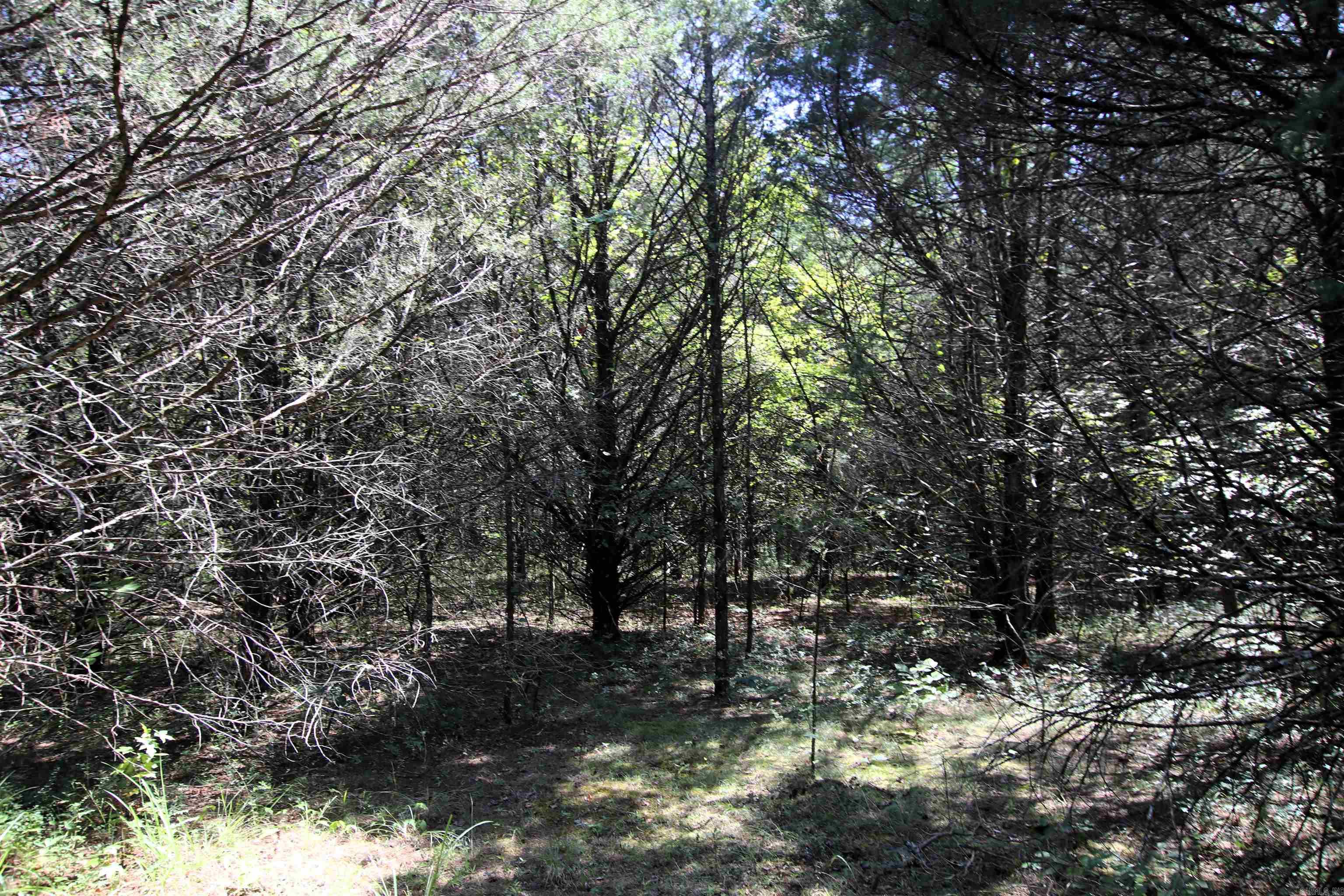 Not in Subdivision - Land