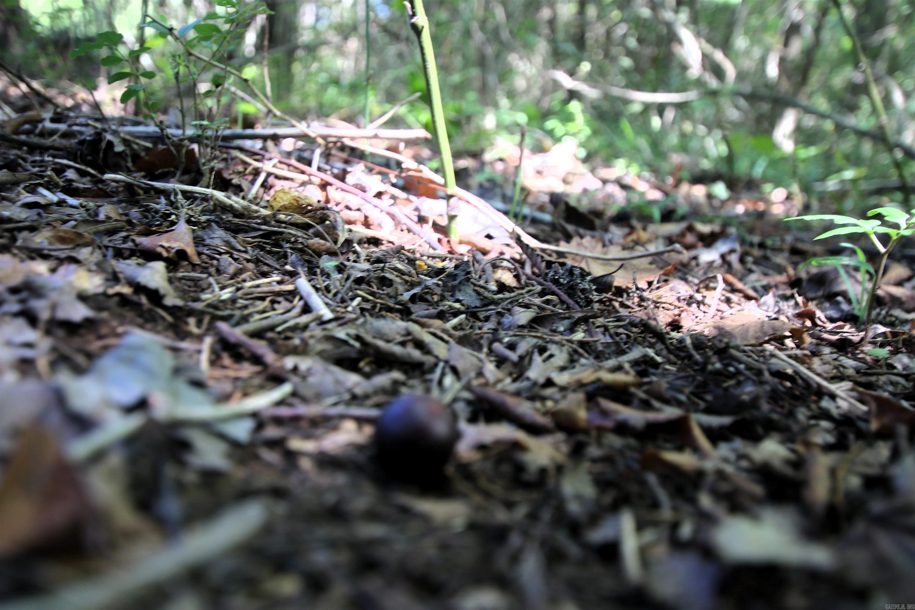 Not in Subdivision - Land