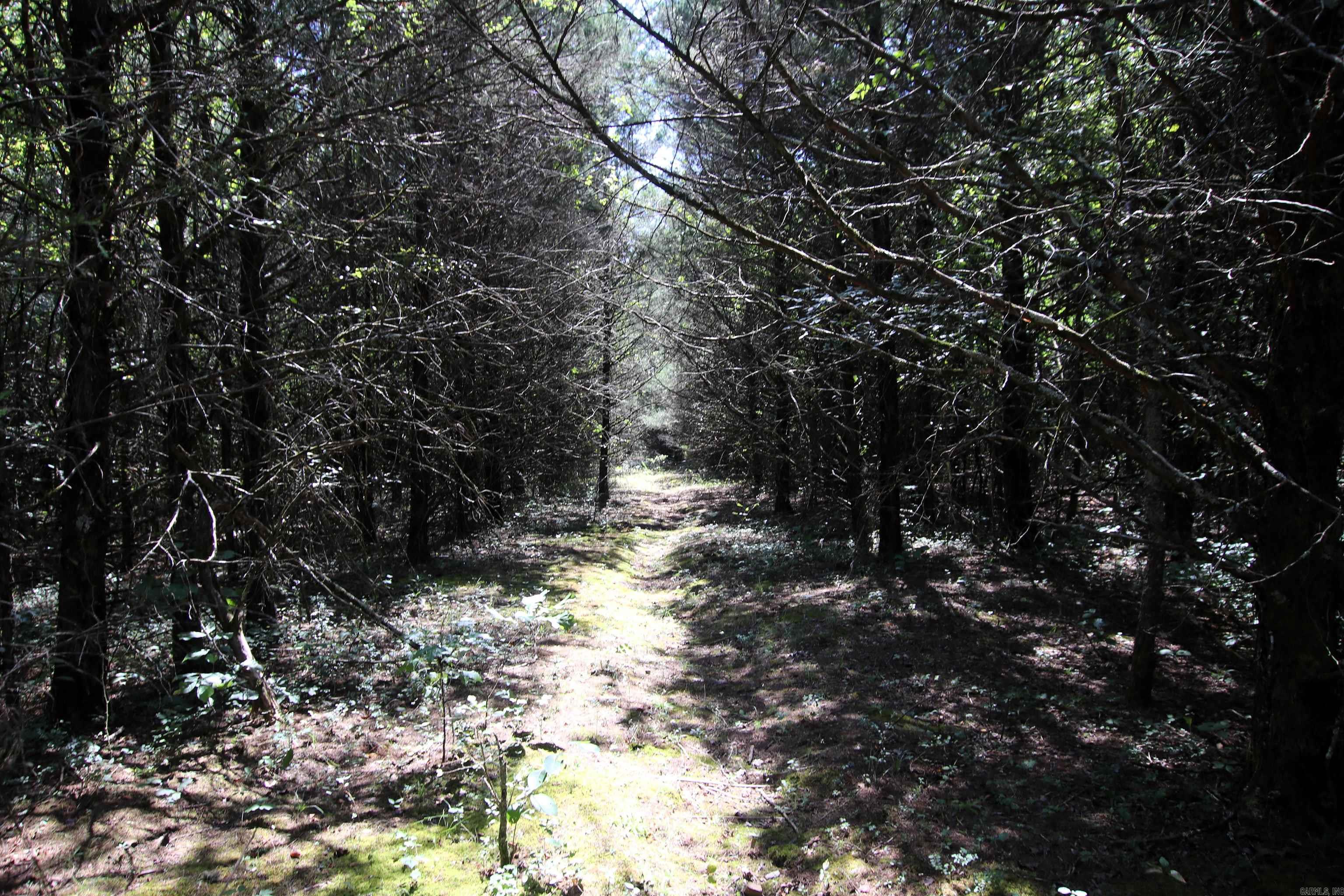 Not in Subdivision - Land