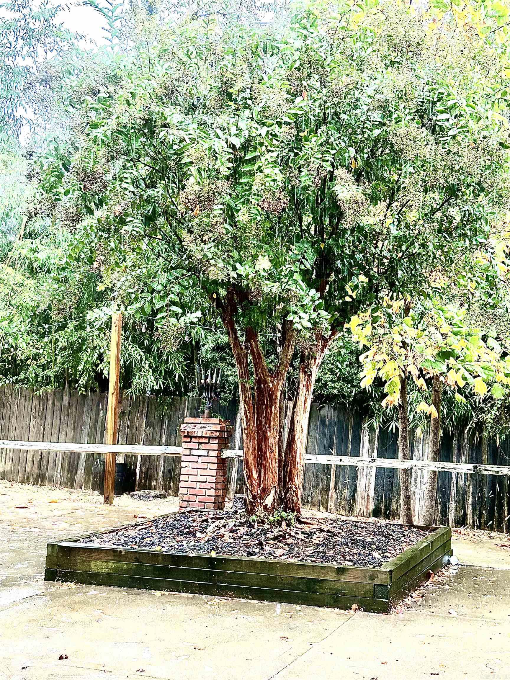 INDIAN TRAILS - Residential