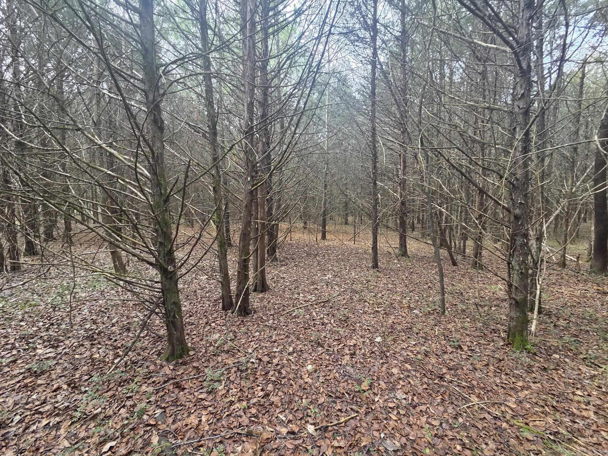 Not in Subdivision - Land