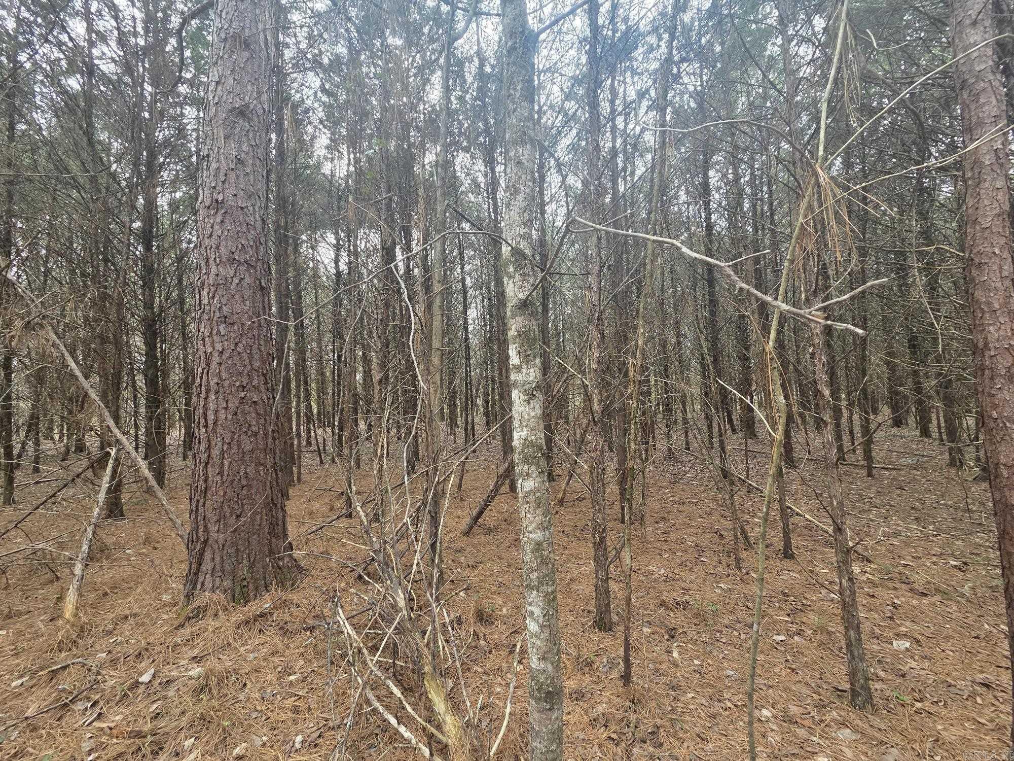 Not in Subdivision - Land