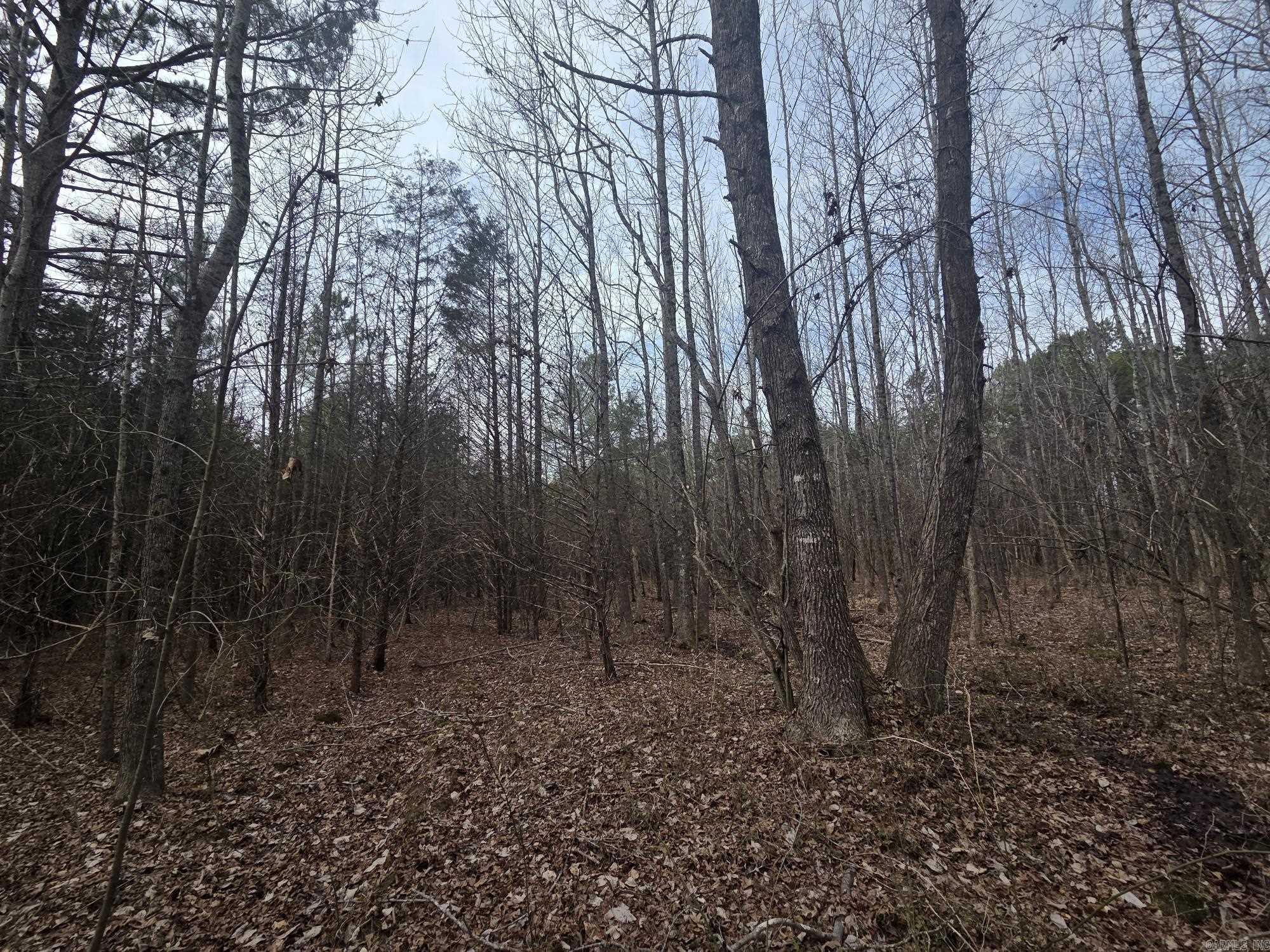 Not in Subdivision - Land