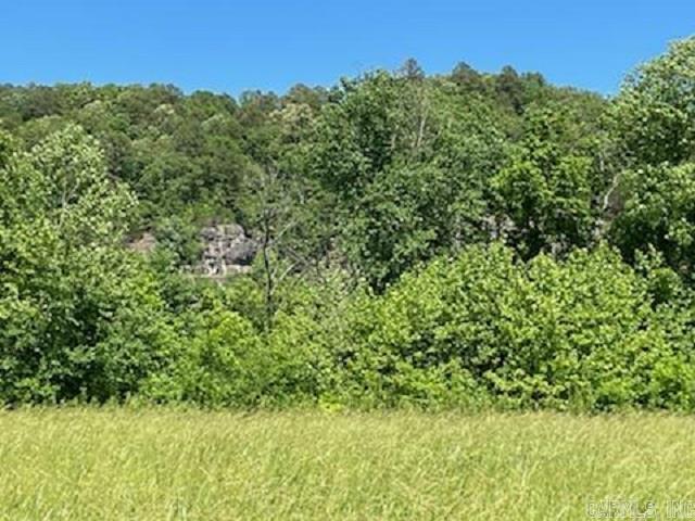 Sneeds Creek Landing - Land