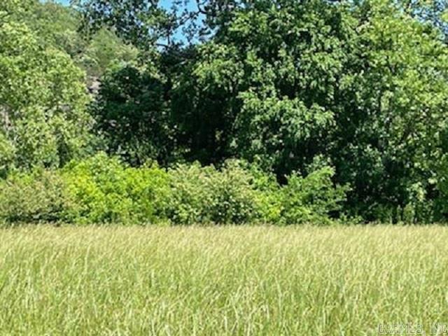 Sneeds Creek Landing - Land