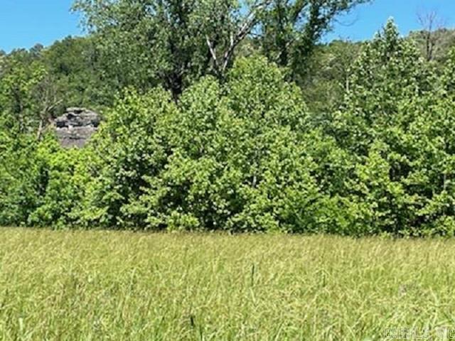 Sneeds Creek Landing - Land